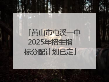 黄山市屯溪一中2025年招生指标分配计划已定